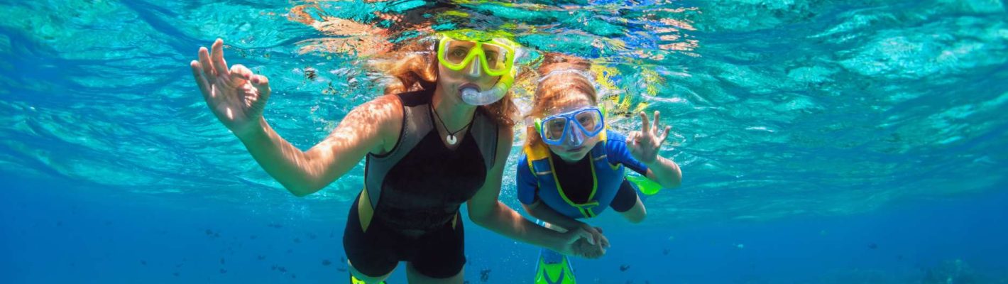 Avi Travel and Tours