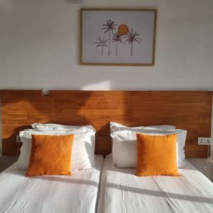 true south (5)